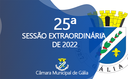 25ª Sessão Extraordinária de 2022