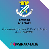 Emenda Nº 8-2022