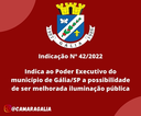 Indicação Nº 42-2022