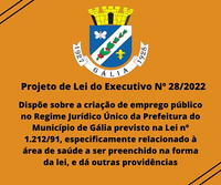 Projeto de Lei do Executivo Nº 28-2022