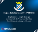 Projeto de Lei do Executivo Nº 55-2022