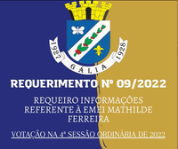 Requerimento Nº 09-2022