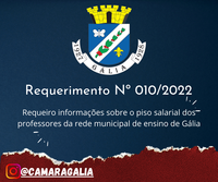 Requerimento Nº 10-2022