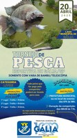 Torneio de Pesca
